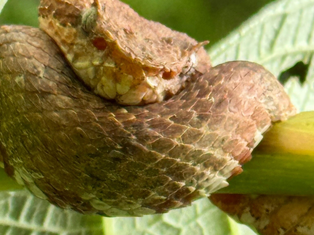 ConchalFun-孔查沙滩必去景点