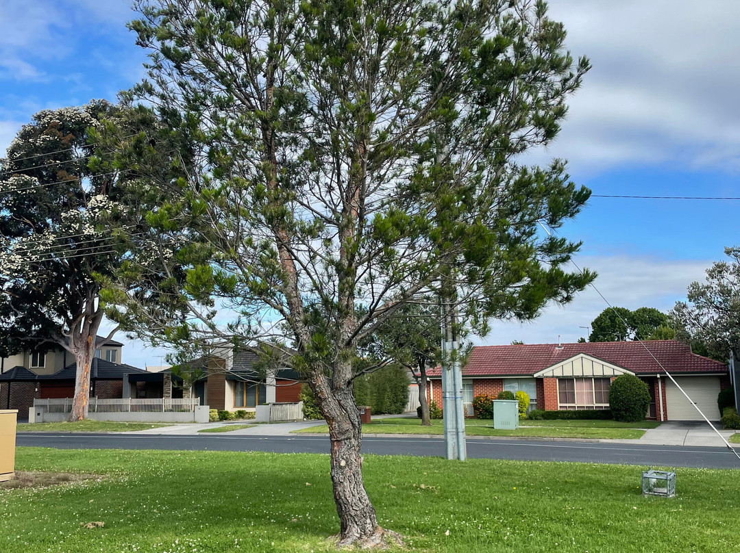 Commemorative Walk-Pakenham必去景点