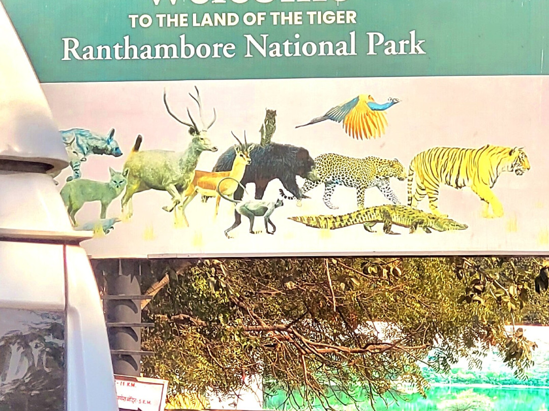 Ranthambore National Park-Ranthambore National Park必去景点