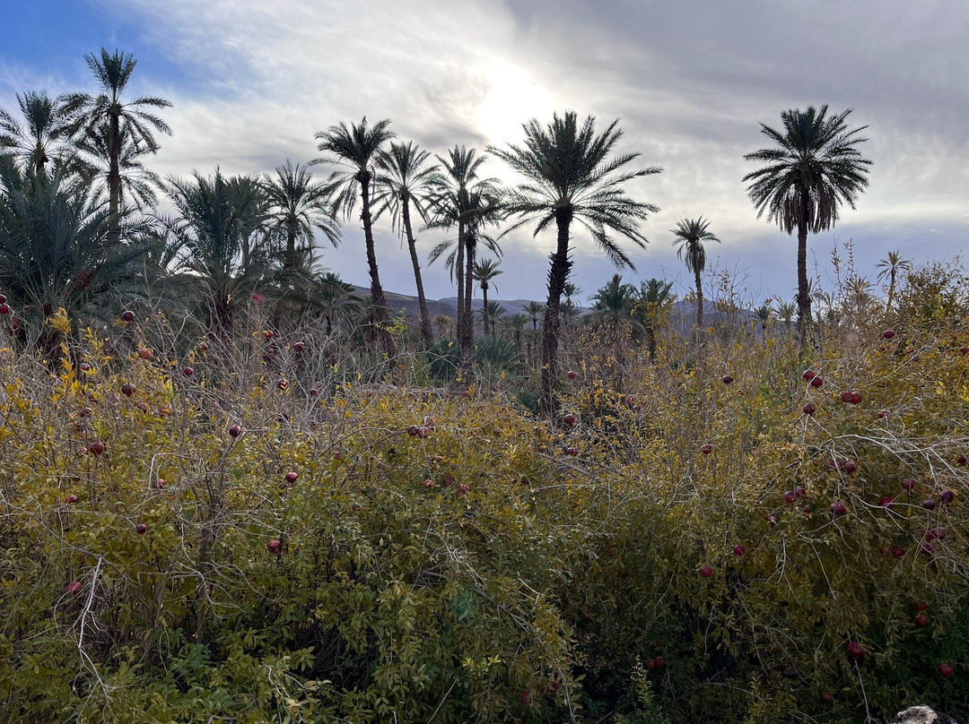 Kasbah Maktob Tamnougalt主图