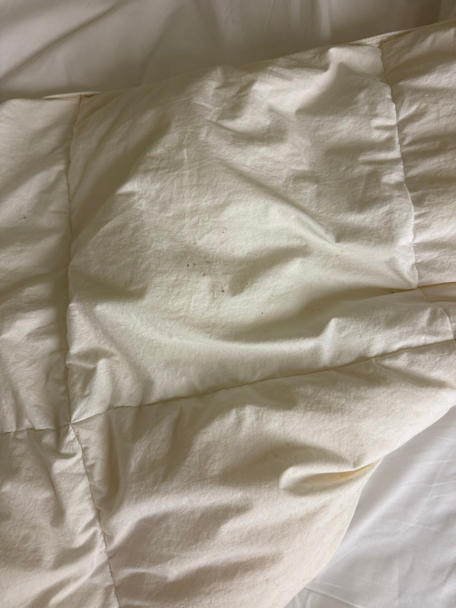 宜必思快捷纽卡斯尔酒店-官方