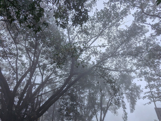 MTDC Resort, Panshet主图