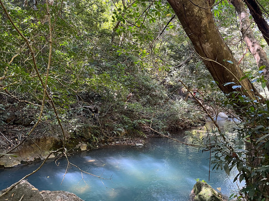 La Leona Waterfall Costa Rica-Curubande必去景点