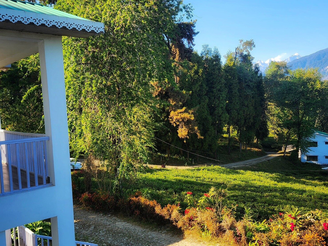 Eco Adventure Resorts the Temi Bungalow主图