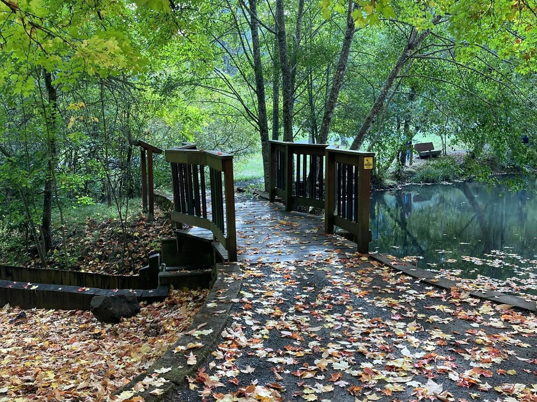 Peavy Arboretum-科瓦利斯必去景点