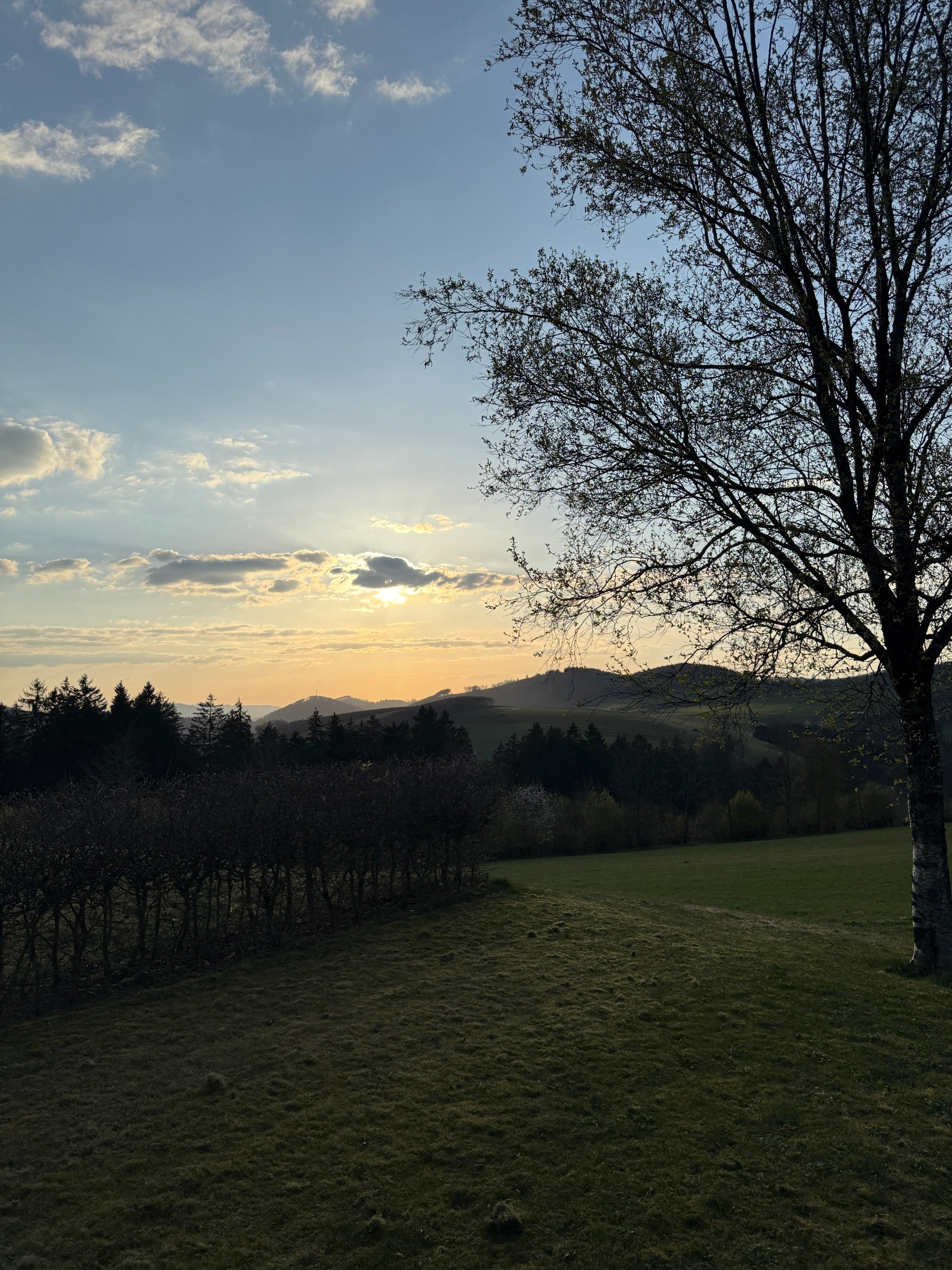 库彻霍亨伯格酒店-官方