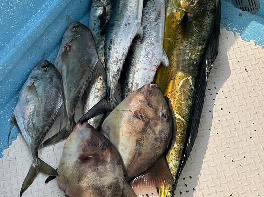 Apache Tours-蓬塔米塔必去景点