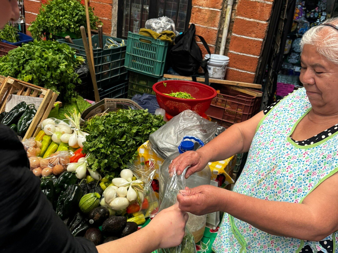 Mercado Ignacio Ramirez-圣米格尔护城必去景点