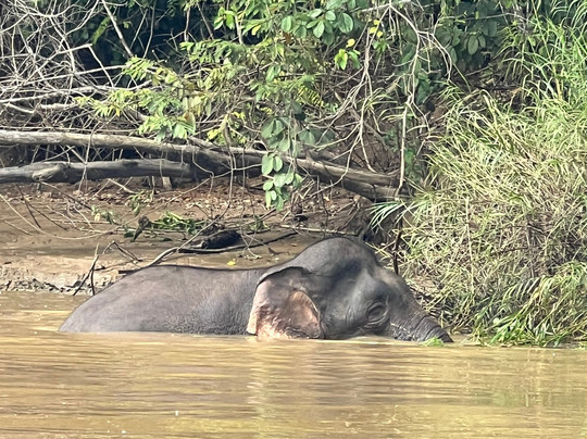 Unearth Adventure-拉布拉多必去景点