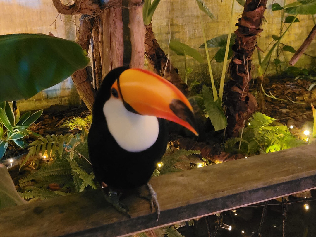 Plantropica-Luttelgeest必去景点