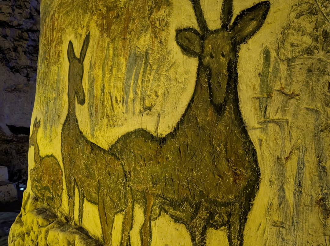 Margate Caves-Margate必去景点