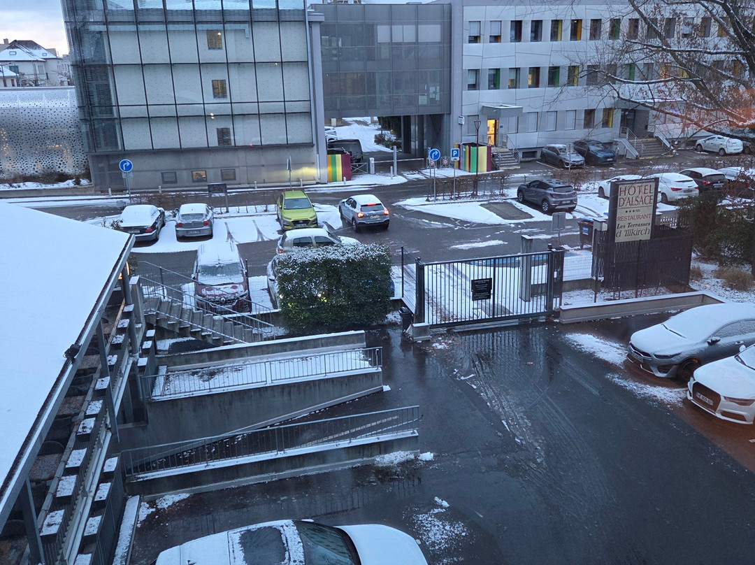 Hotel D'Alsace主图