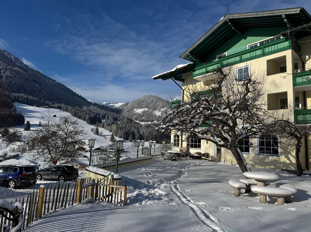 St Martin am Tennengebirge酒店住宿-Wohlfuehlresort Martinerhof