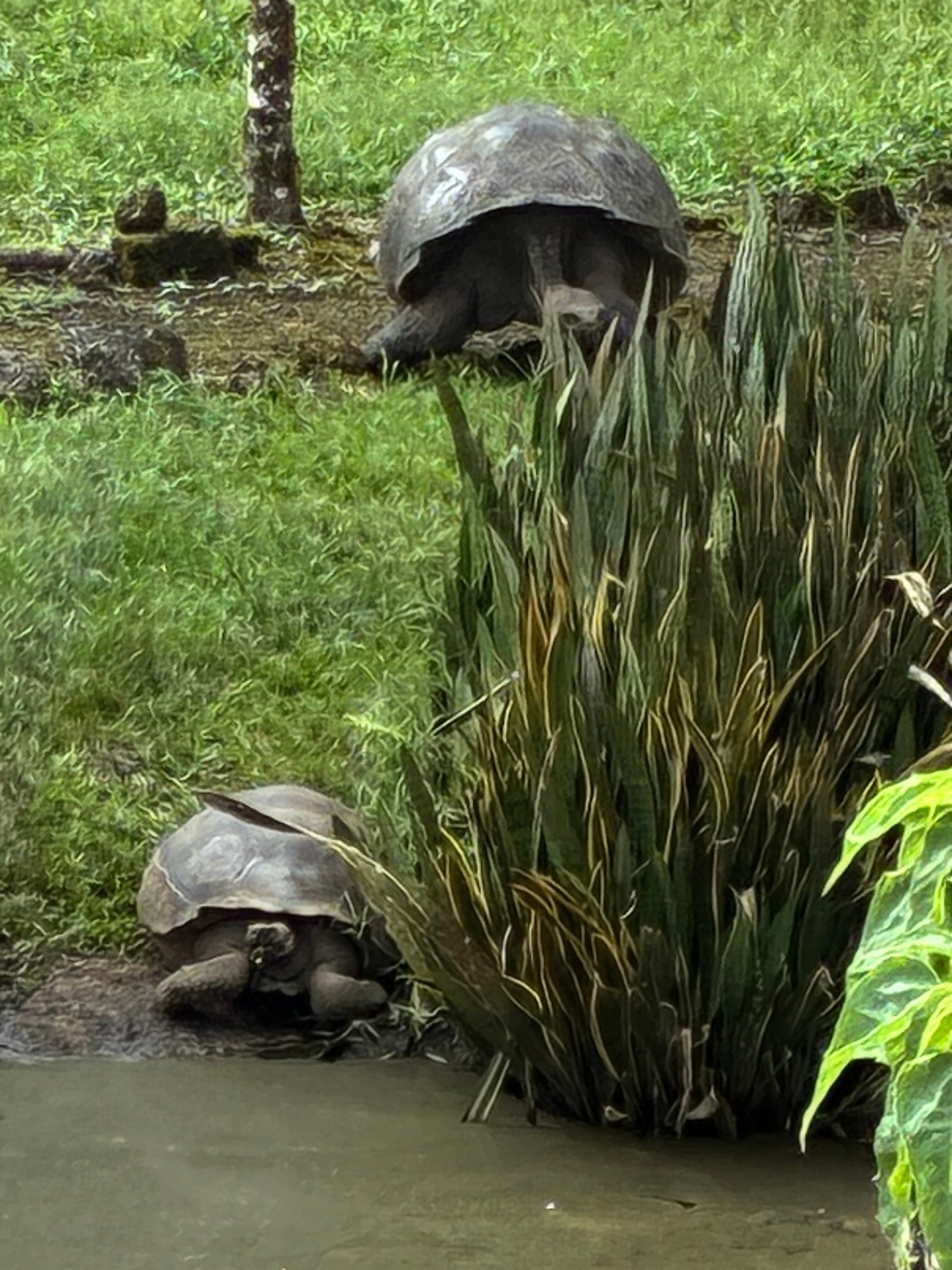 瑟米拉维尔德精品酒店-浴室