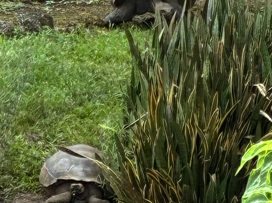 瑟米拉维尔德精品酒店主图