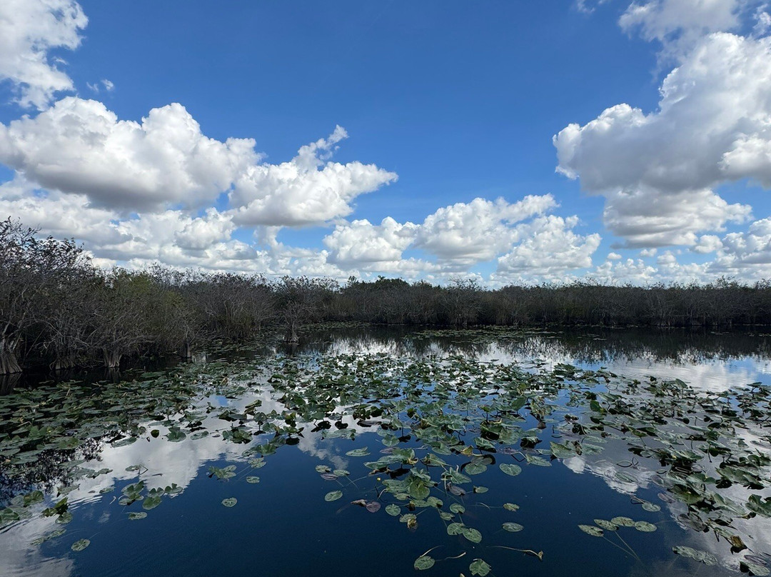 Royal Palm Visitor Center-大沼泽国家公园必去景点