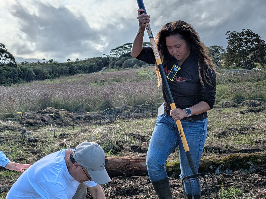 Ohana Ranch-山景城必去景点