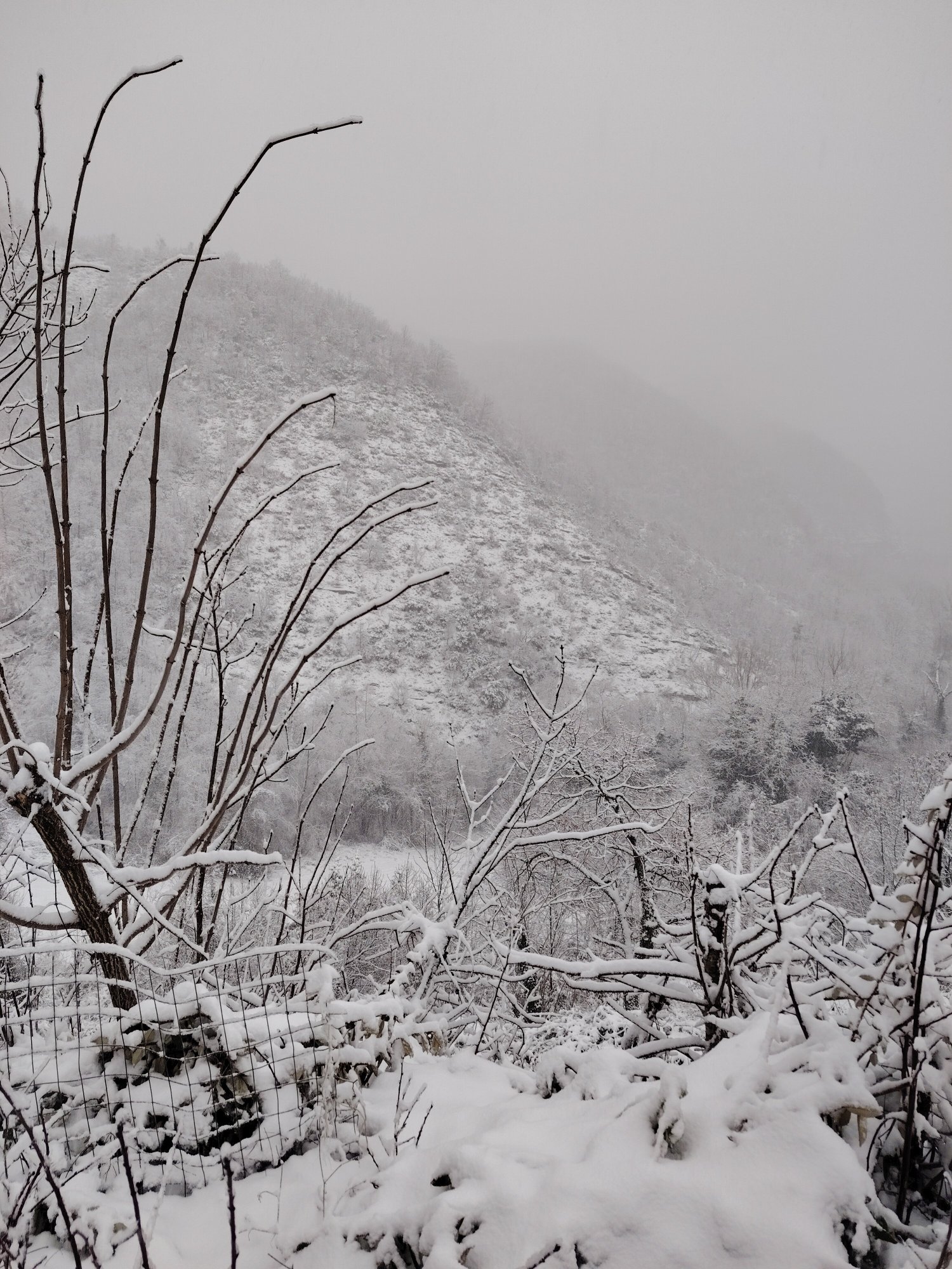 Il Borgo Casteldelci-官方