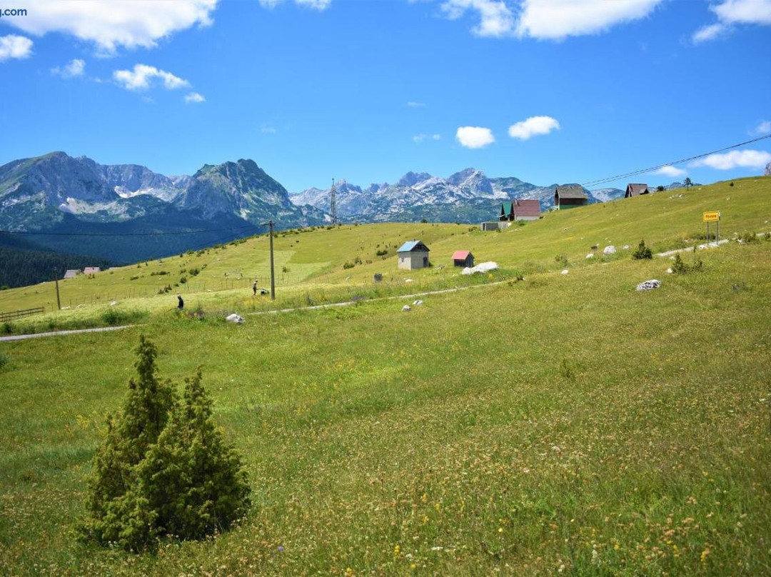 Durmitor View