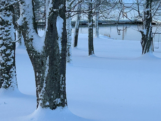 Gränsö Slott主图