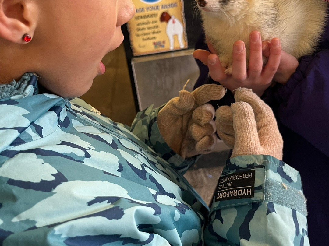 Marsh Farm Animal Adventure Park-Woodham Ferrers必去景点