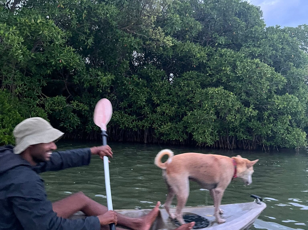 Kayak journey-Rekawa必去景点