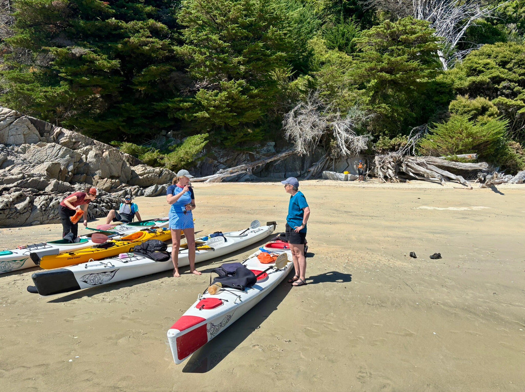 Golden Bay Kayaks-塔卡卡必去景点