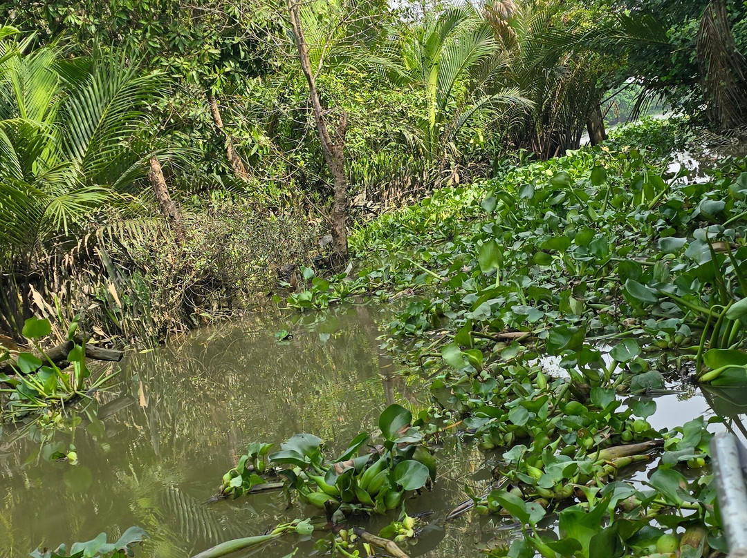 Mekong Realism-芹苴必去景点