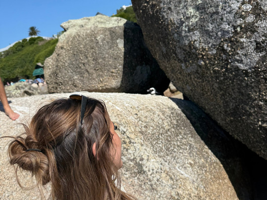 Cape Scenic Tours-乳木滩必去景点