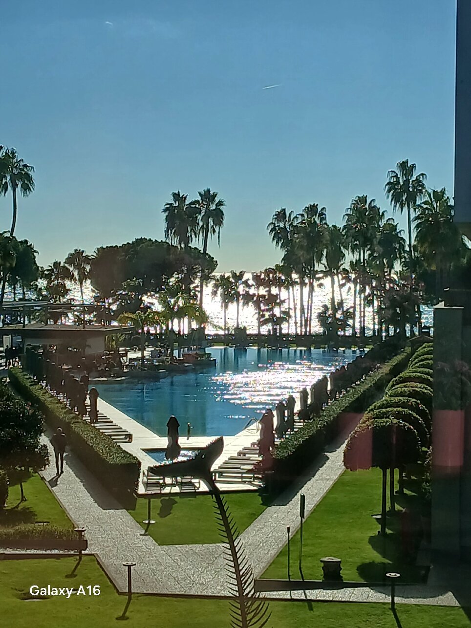 Acanthus Cennet Barut Collection-官方