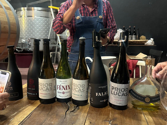 Prior Lucas Vinhos-科英布拉区必去景点