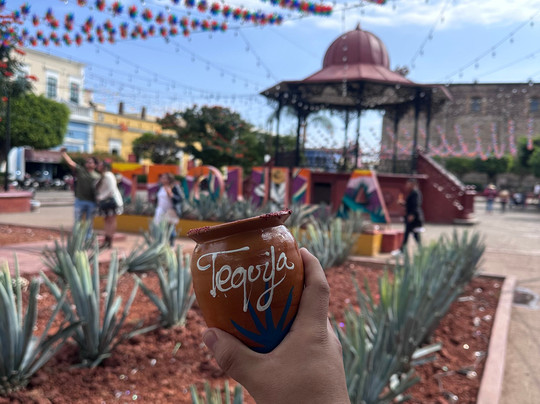 Huellas Mexicanas. Viajes y Experiencias Gastronomicas-墨西哥城必去景点