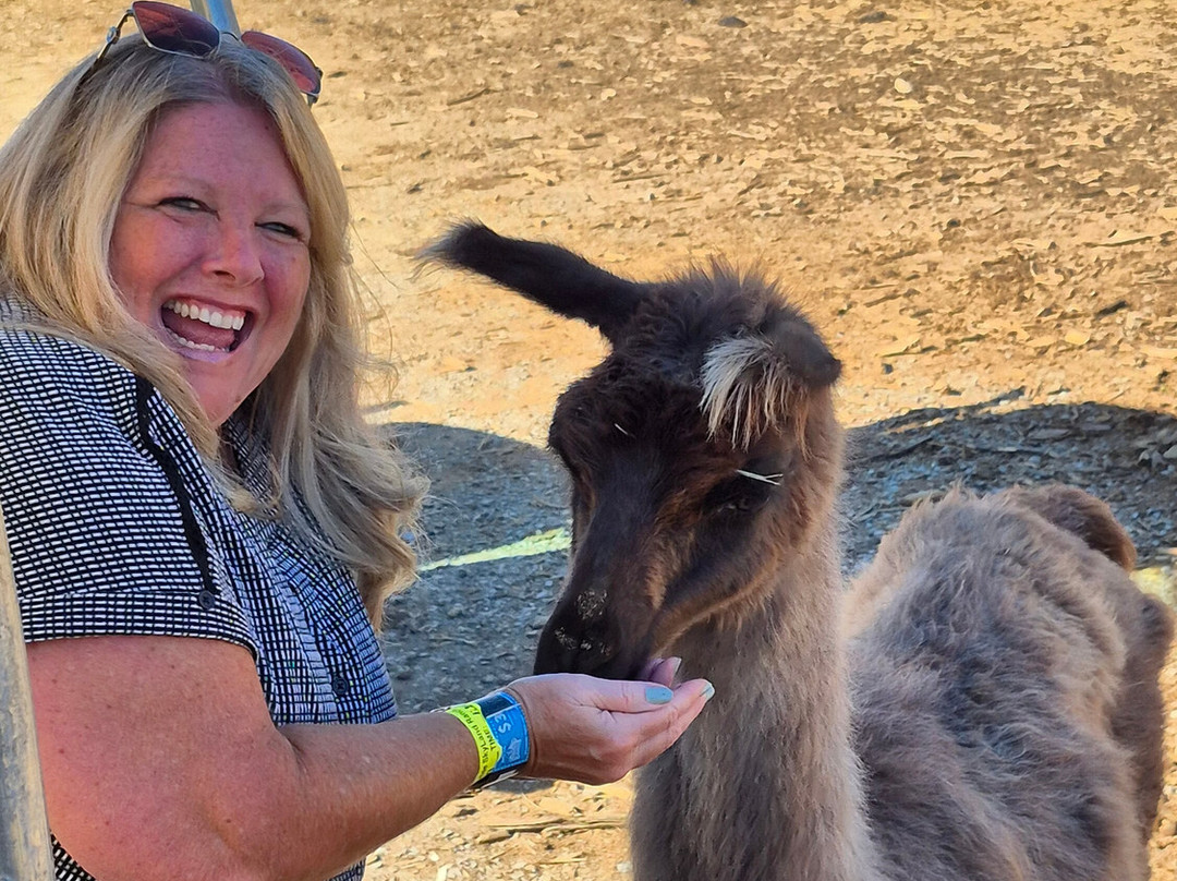 SkyLand Ranch-塞维尔维尔必去景点