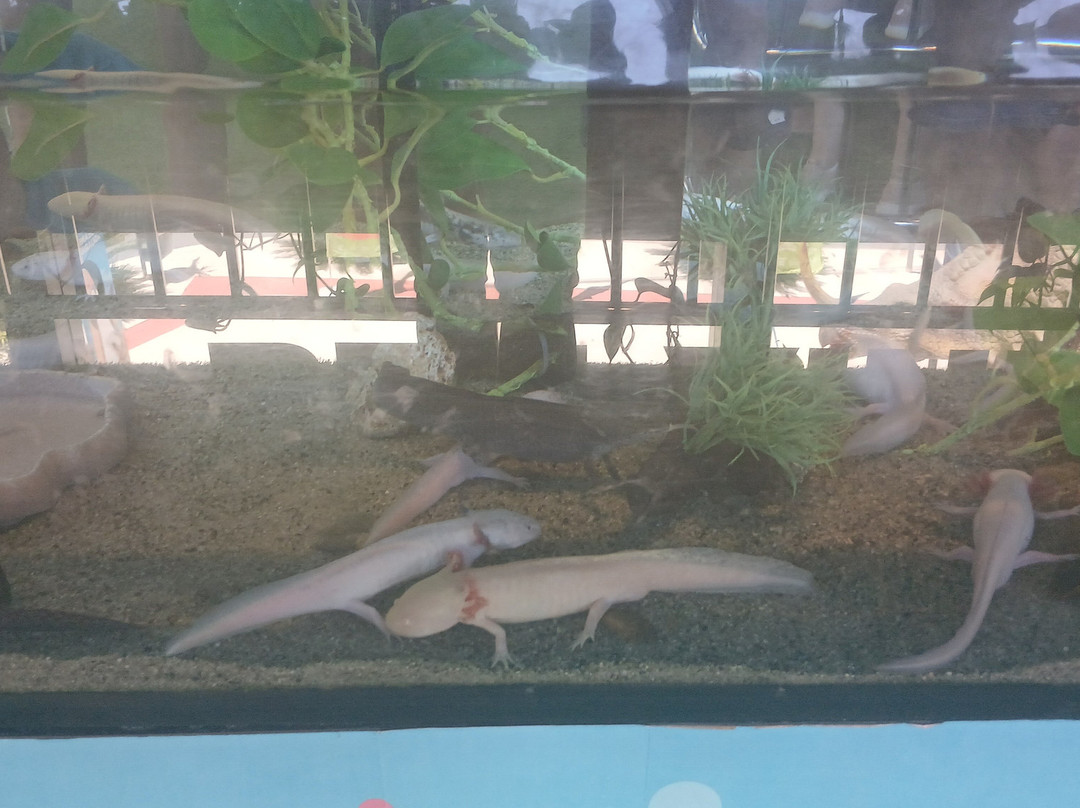 Oceanic Aquarium-康泊琉海水浴场必去景点