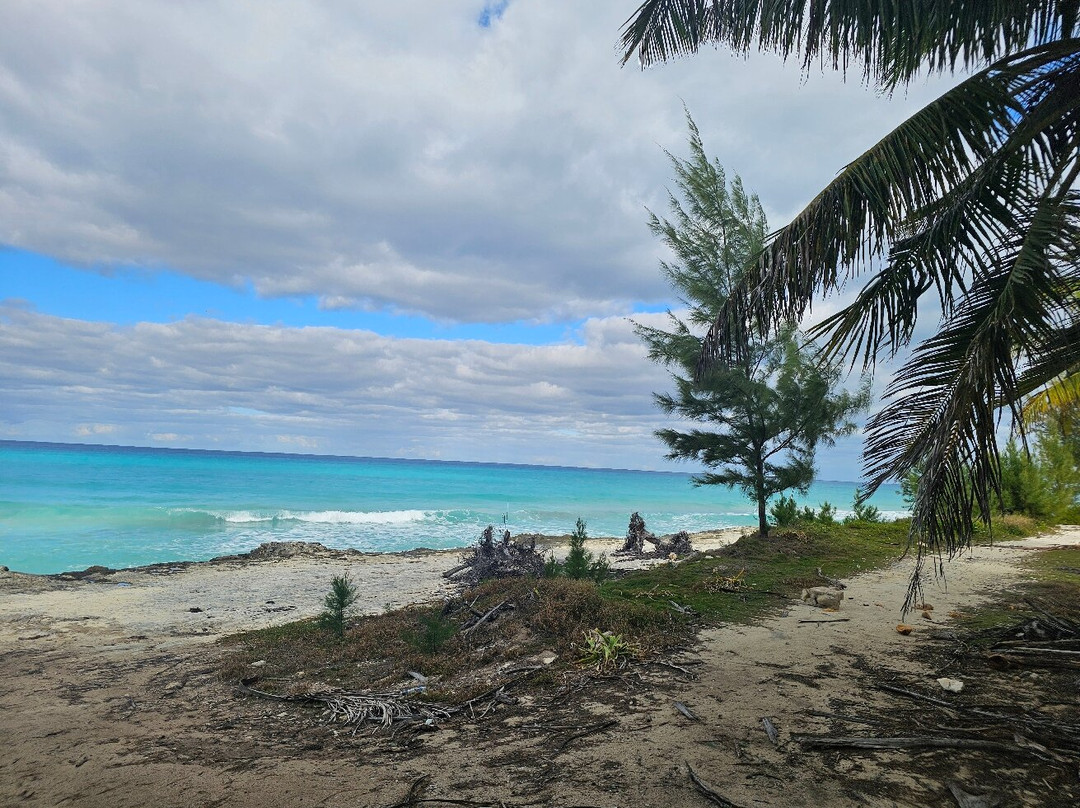 Radio Beach-Alice Town必去景点