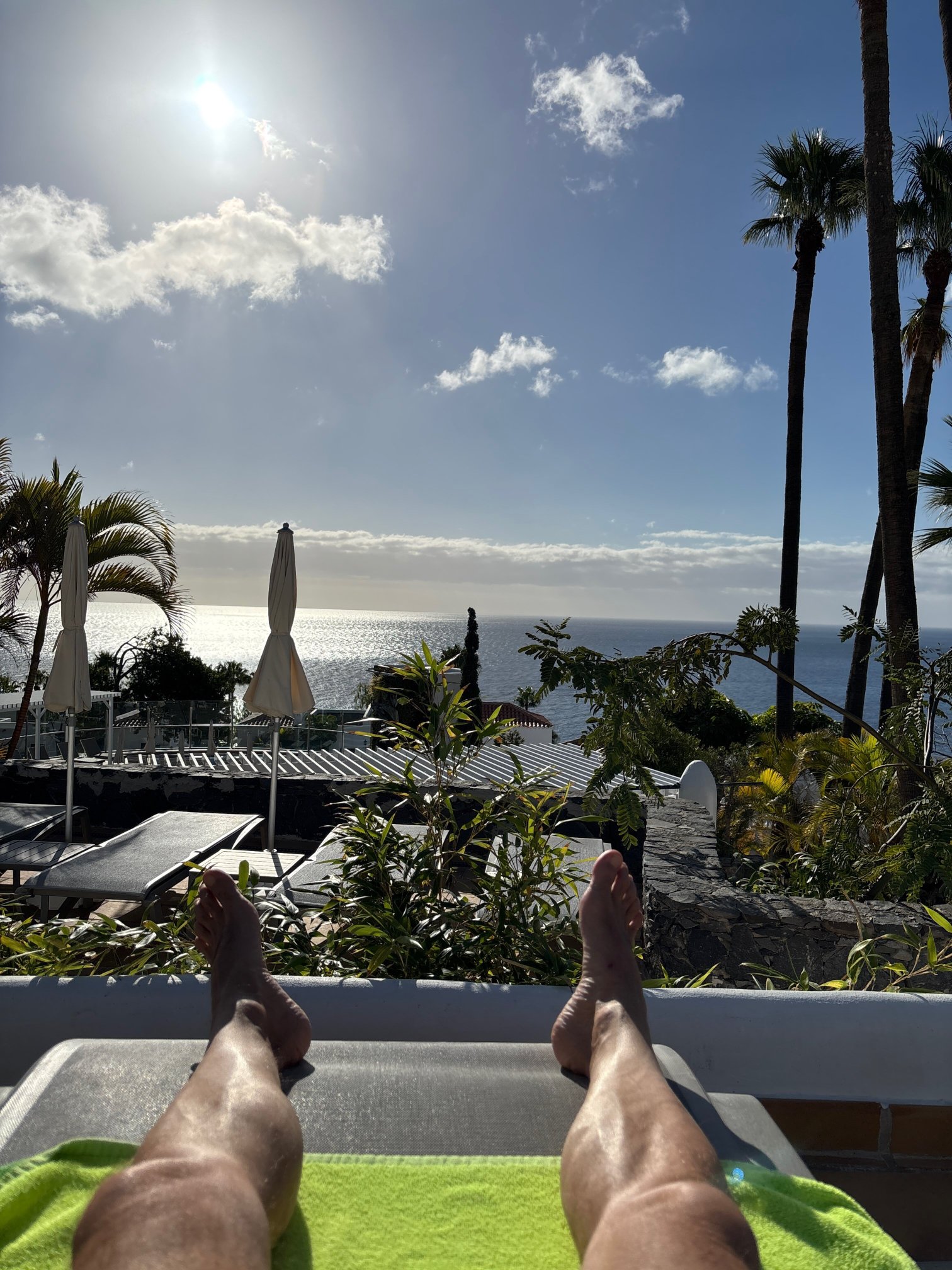 Hotel Jardin Tecina-泳池