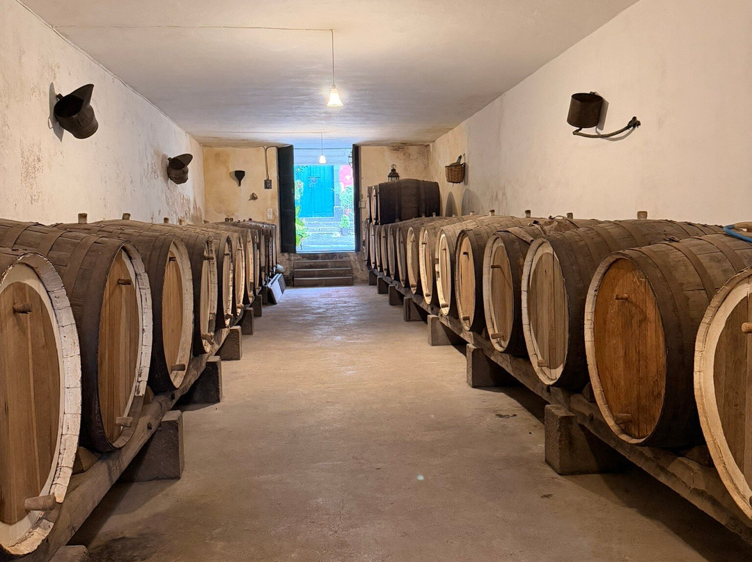 Bodega San Juan - Museo del Vino-Santa Brigida必去景点