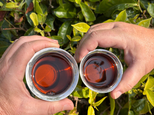 Munnar Info-慕那尔必去景点