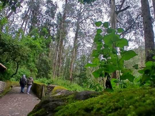 Cascada de  Peguche-Peguche必去景点
