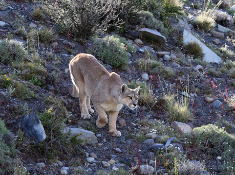 Far South Expeditions-蓬塔阿雷纳斯必去景点
