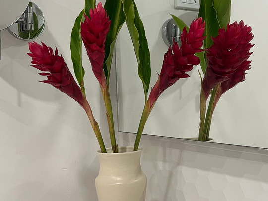 Couples Sans Souci主图