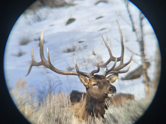 Yellowstone Wild-加德纳必去景点