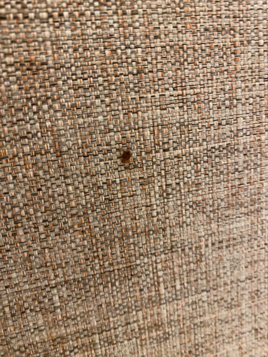 艾利马尔酒店-官方