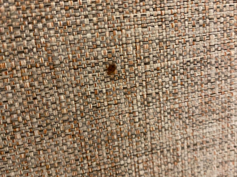 艾利马尔酒店主图