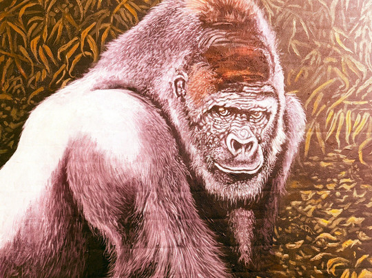 Niyo Art Gallery-吉佳利必去景点