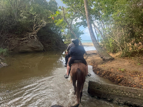 Esperanza Riding Company-维切克岛必去景点