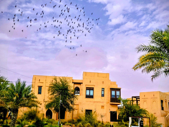 Al Badayer Retreat By Sharjah Collection主图