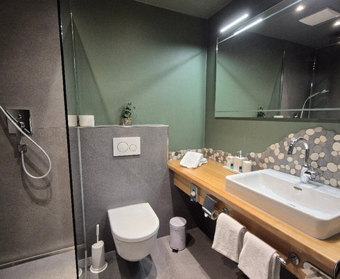 布鲁萨特伽尼酒店主图