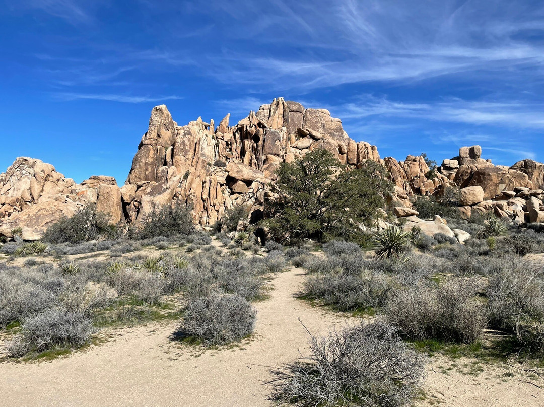 隐身谷-约书亚树国家公园必去景点