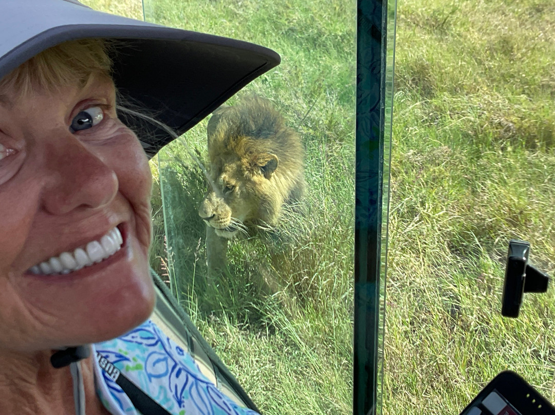 East Africa Adventure Tours and Safaris-马赛马拉国家野生动物保护区必去景点